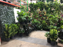 Load image into Gallery viewer, Warehouse Tour