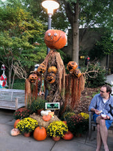 Load image into Gallery viewer, Package - Hocus Pocus