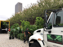 Load image into Gallery viewer, Package - Custom Conventioneer