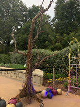 Load image into Gallery viewer, Ghostwood - Natural Shaggy