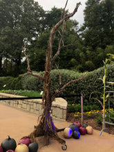 Load image into Gallery viewer, Package - Hocus Pocus