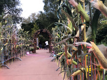 Load image into Gallery viewer, Package - Hocus Pocus