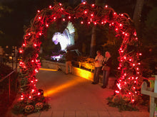 Load image into Gallery viewer, Package - Hocus Pocus