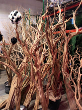 Load image into Gallery viewer, Ghostwood - Natural Shaggy