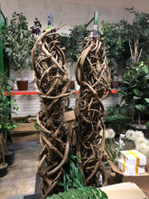 Load image into Gallery viewer, Package - Hocus Pocus