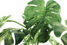 Load image into Gallery viewer, Monstera Deliciosa - Artificial
