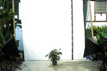 Load image into Gallery viewer, Rubber Plant