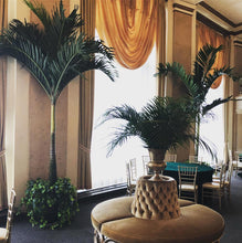 Load image into Gallery viewer, Adonidia Palm 8-9'