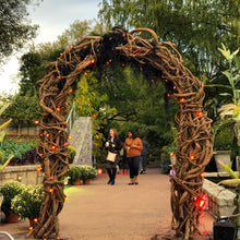 Load image into Gallery viewer, Camphor Arch - Three Heights