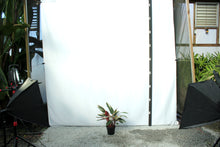 Load image into Gallery viewer, Triostar Stromanthe 2.5'