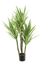 Load image into Gallery viewer, Yucca Green