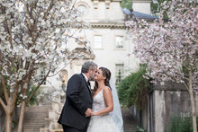 Load image into Gallery viewer, Cherry Blossom Trees