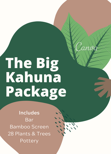 Package - The Big Kahuna
