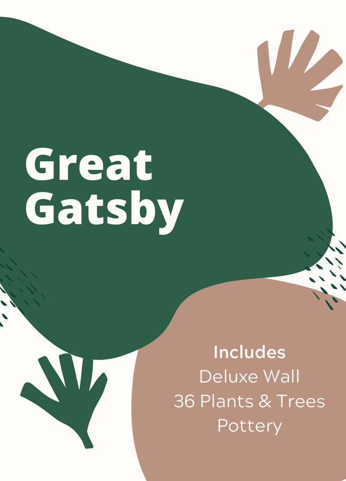 Package - Great Gatsby