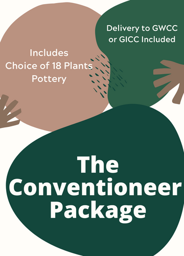 Package - Custom Conventioneer