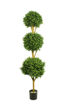 Load image into Gallery viewer, Boxwood Ball Three-Ball Topiary