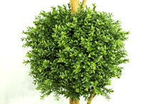 Load image into Gallery viewer, Boxwood Ball Three-Ball Topiary