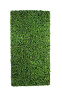 Package - Boxwood Standard
