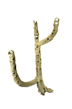 Load image into Gallery viewer, Cholla Skeleton Cactus