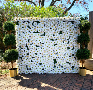 White Daisy Flower Panels & Wall