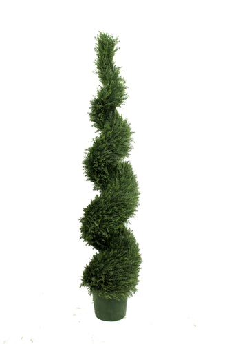 Spiral Evergreen Topiary