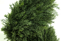 Load image into Gallery viewer, Spiral Evergreen Topiary