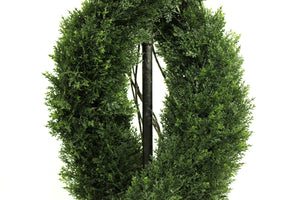 Double Spiral Evergreen Topiary