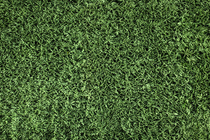 Grass Panels or Walls