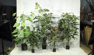 Tropical Plants - Assorted 6' Artificial