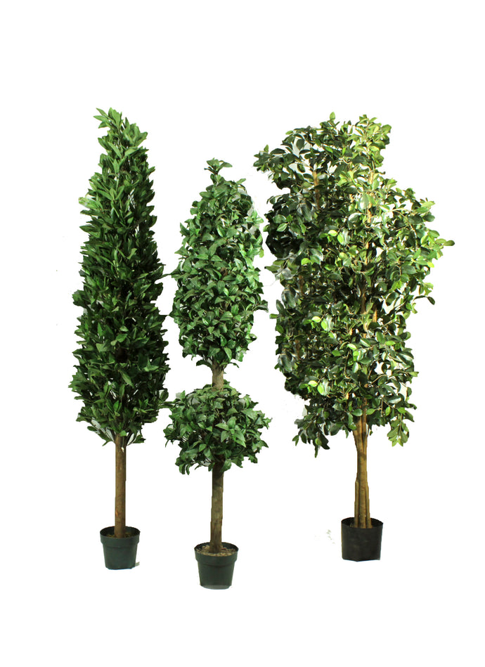 Assorted 6' Artificial Trees