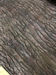 Pine Tree Skin