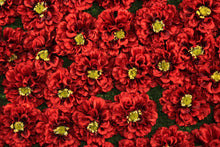 Load image into Gallery viewer, Red Marigold Flower Panels and Walls