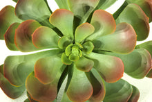 Load image into Gallery viewer, Succulents