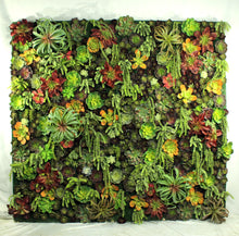 Load image into Gallery viewer, Succulent Wall