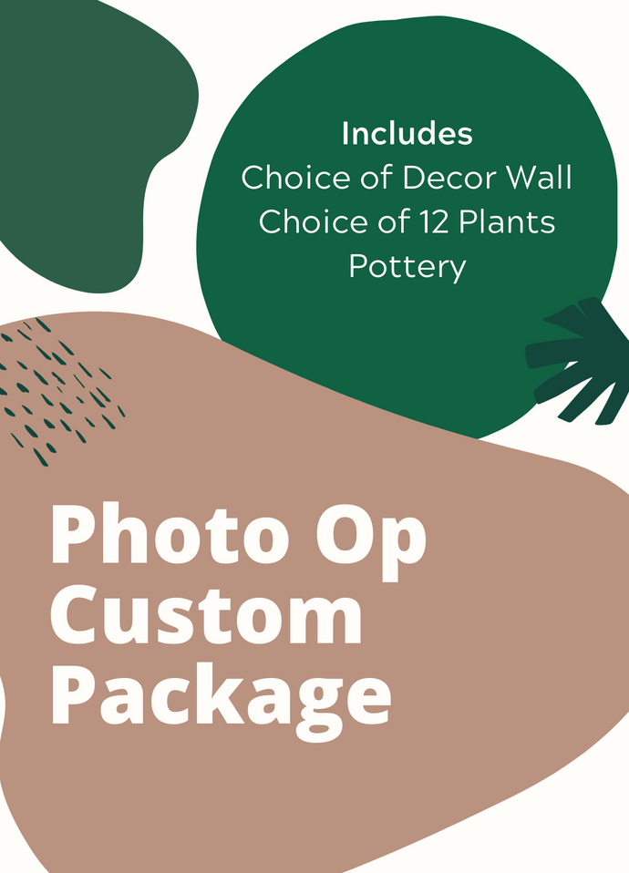 Package - Custom Photo Op